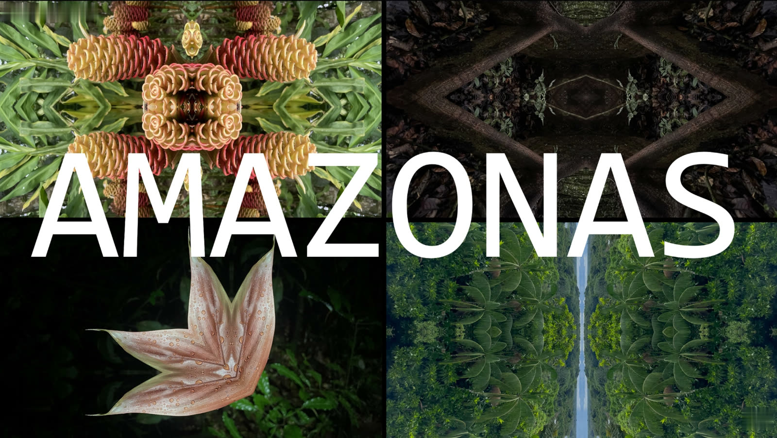 Amazonas collection