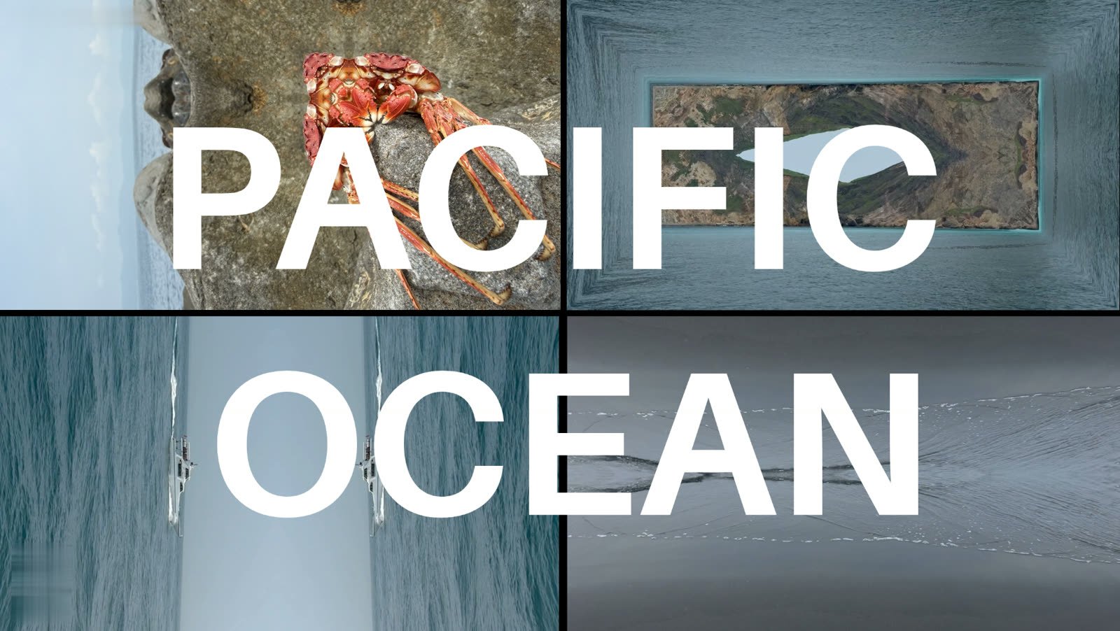Pacific Ocean collection
